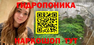 гидра Партизанск