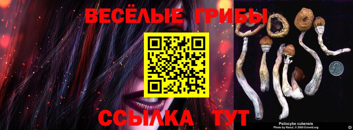 Псилоцибиновые грибы прущие грибы  Вход с VPN  Тимашёвск 